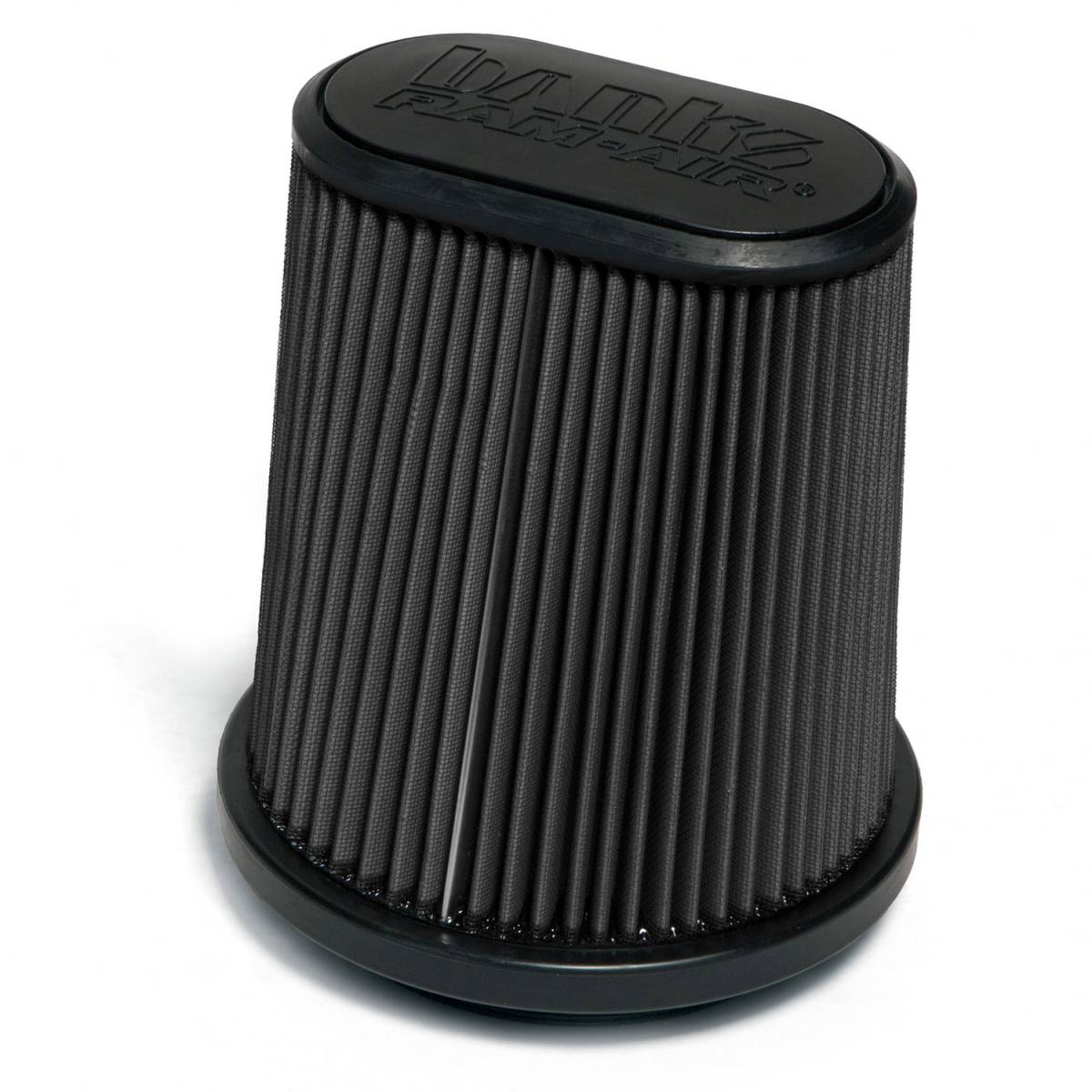 Ram-Air Intake System Dry Filter for 2015-2020 Ford F150 EcoBoost 2.7/3.5L Banks Power